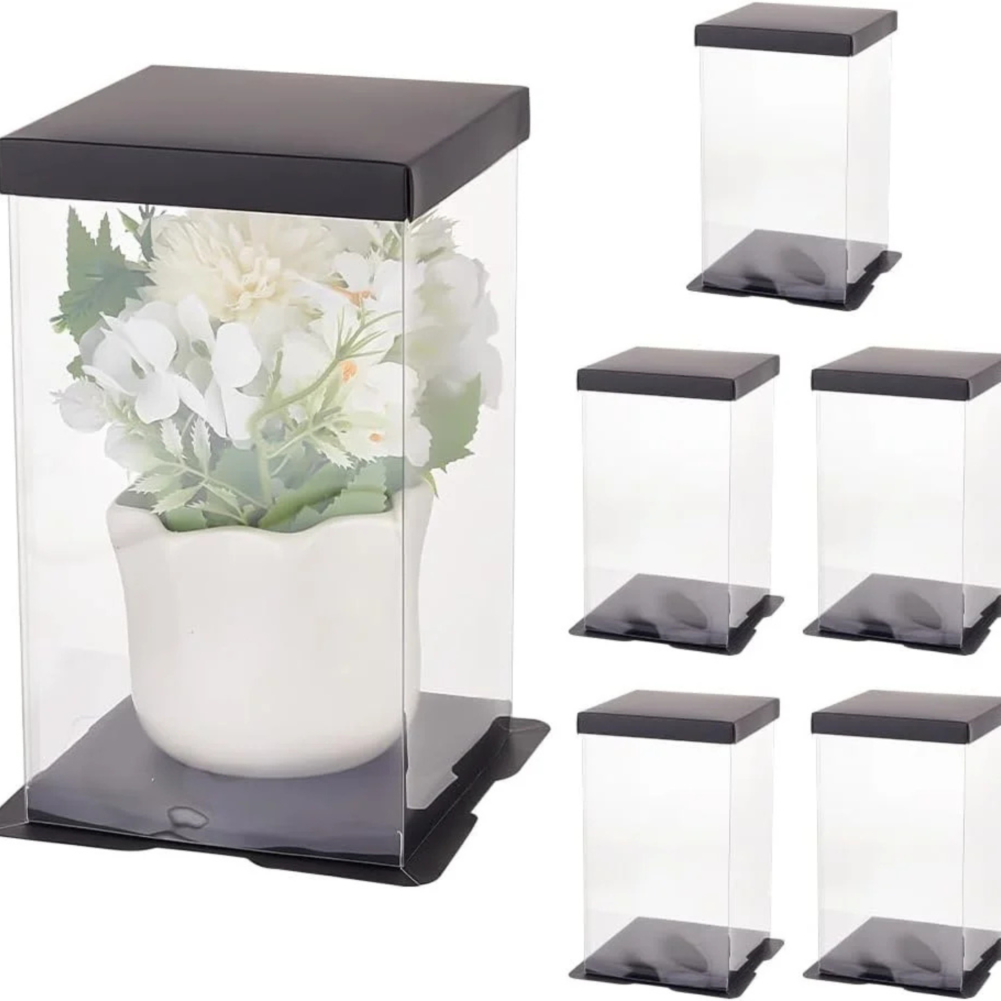 Clear Lid with Black Base Packaging Boxes: Your Ultimate Guide