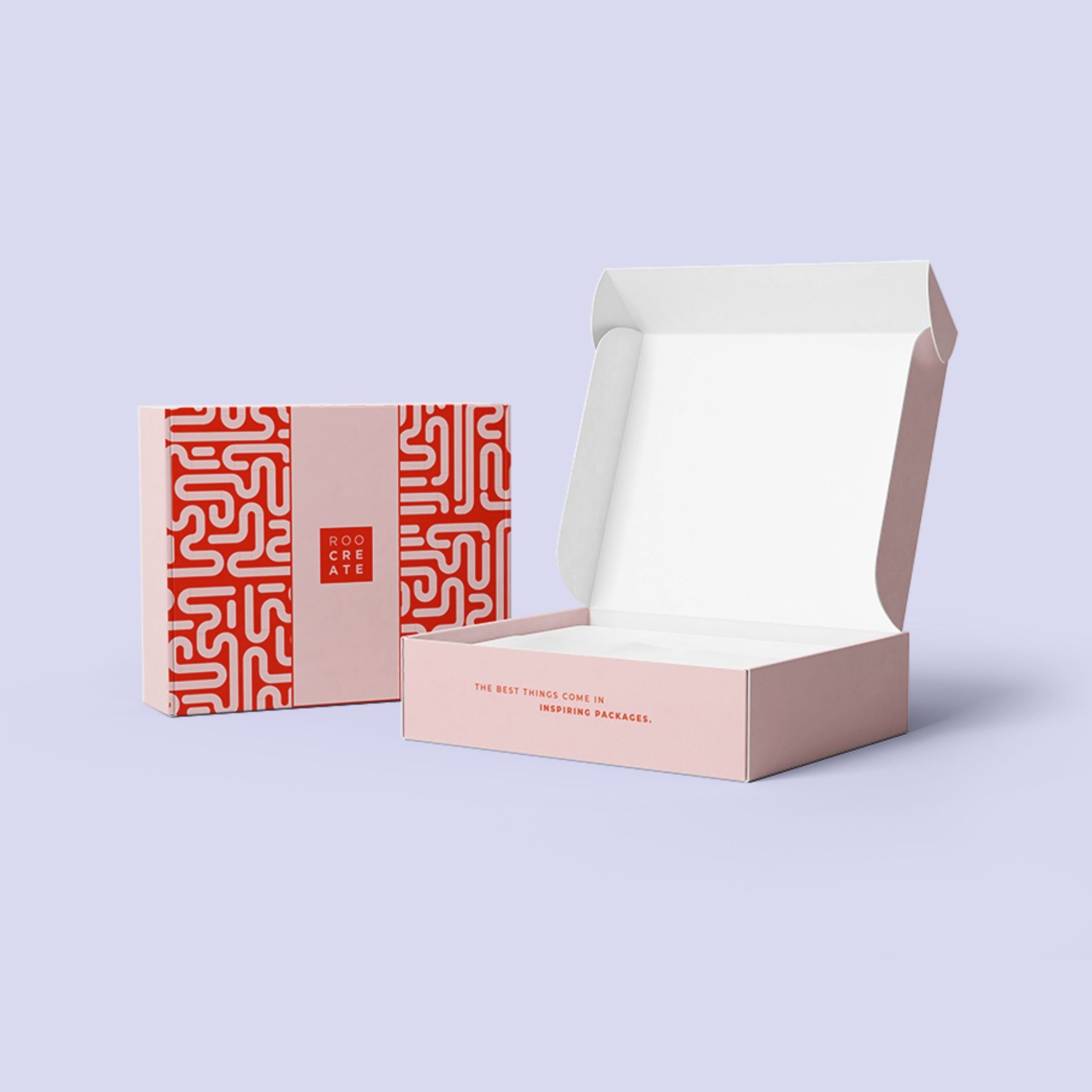 Comprehensive Guide to Literature Mailer Packaging Boxes