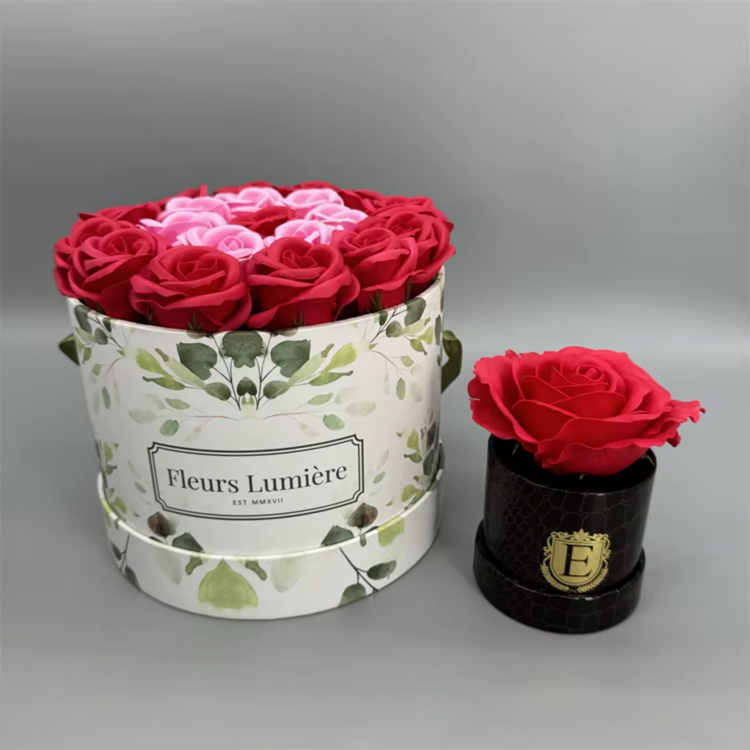 Optimized Plant Packaging Solutions: Everything You Need to Know