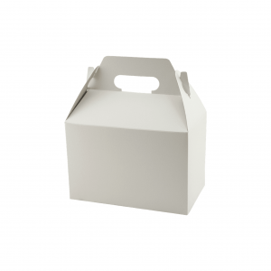 White Glossy Packaging Boxes