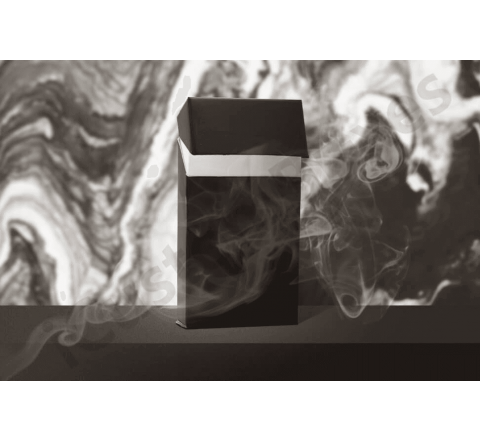 Blank Cigarette Boxes