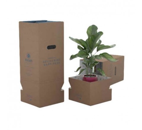 Plant Packaging Boxes