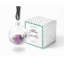 Christmas Present Packaging Boxes