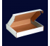 Literature Mailer Packaging Boxes