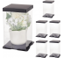 Clear Lid  with Black Base Packaging Boxes Gallery Image