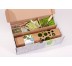 Plant Packaging Boxes Gallery Image