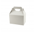 White Glossy Packaging Boxes